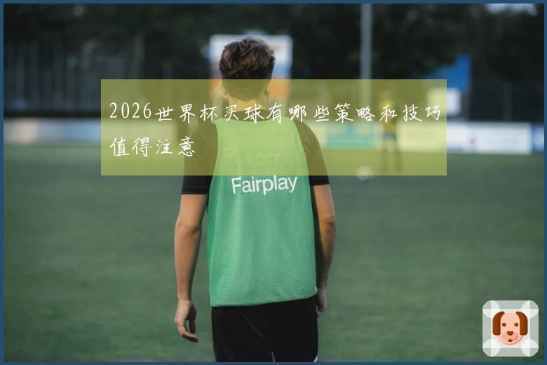 2026世界杯买球有哪些策略和技巧值得注意