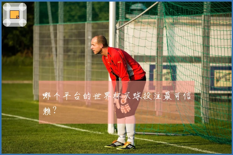 哪个平台的世界杯买球投注最可信赖？