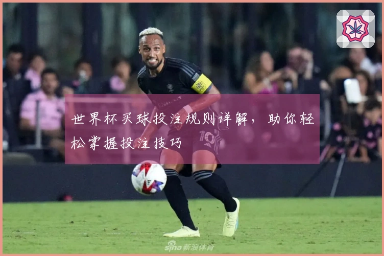 世界杯买球投注规则详解，助你轻松掌握投注技巧