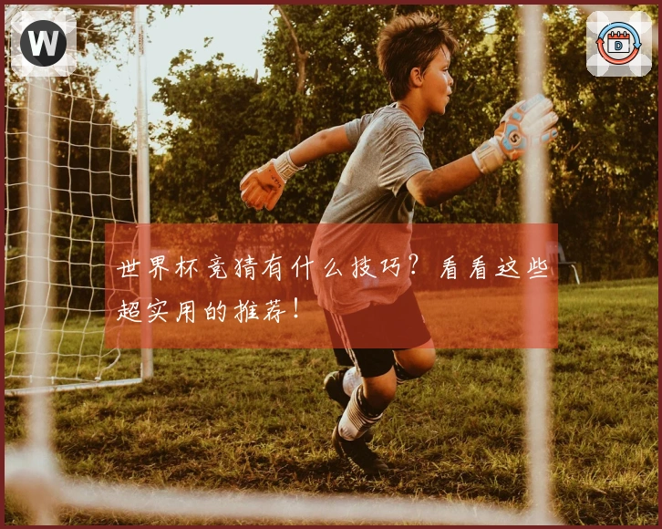 世界杯竞猜有什么技巧？看看这些超实用的推荐！